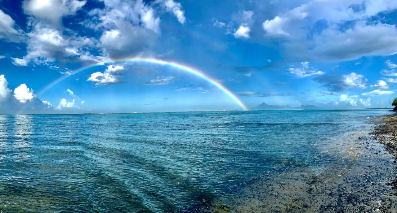 Superbe Bord De Mer, Acces Lagon Et Piscine Privee Paea Extérieur photo